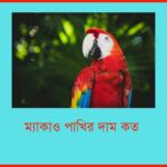 ম্যাকাও পাখির দাম কত ২০২৫