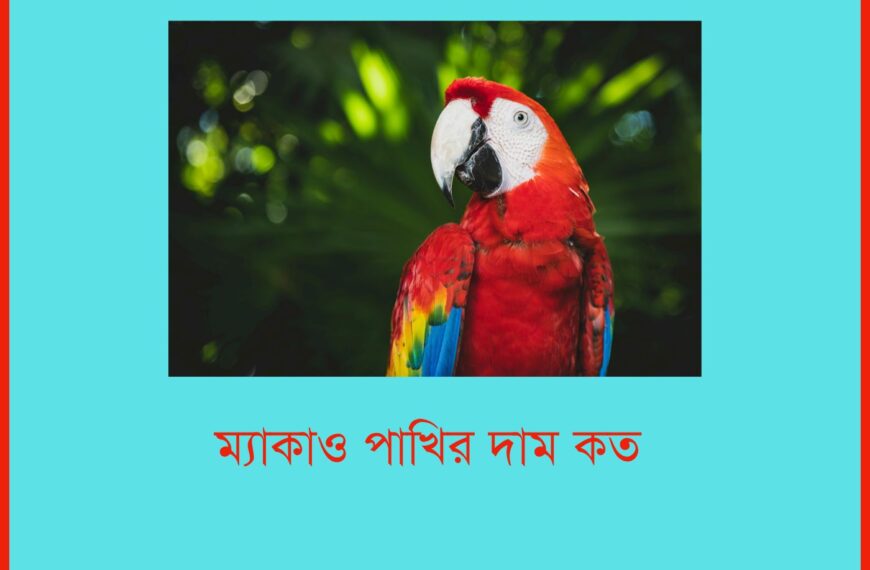 ম্যাকাও পাখির দাম কত ২০২৫